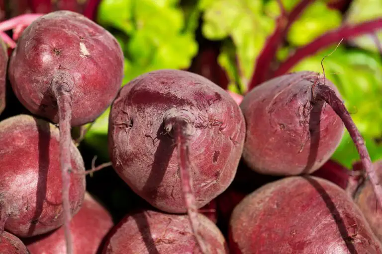 How To Make Beetroot Wine
