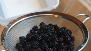 How To Wash Blackberries
