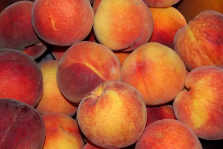 How To Make Peach Wine